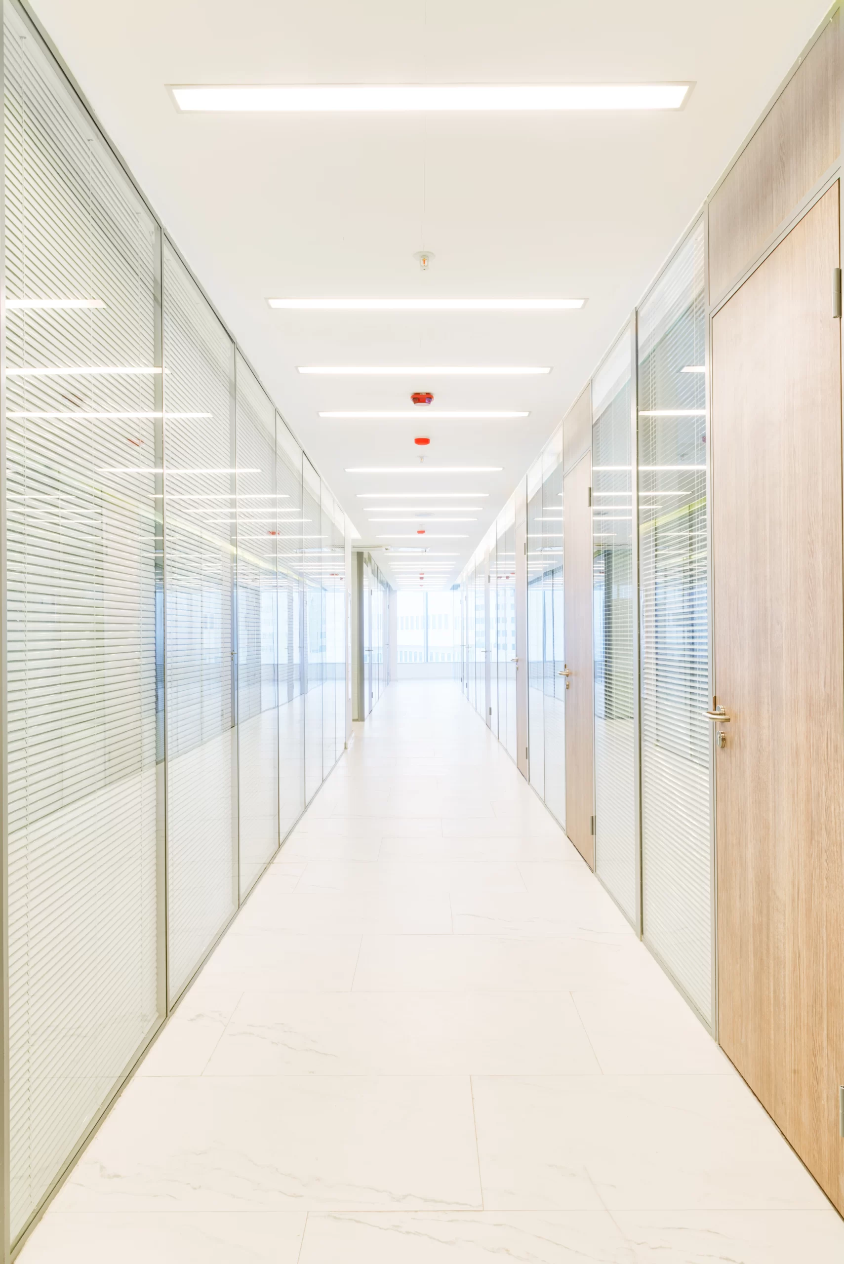office building interior,gypsum works