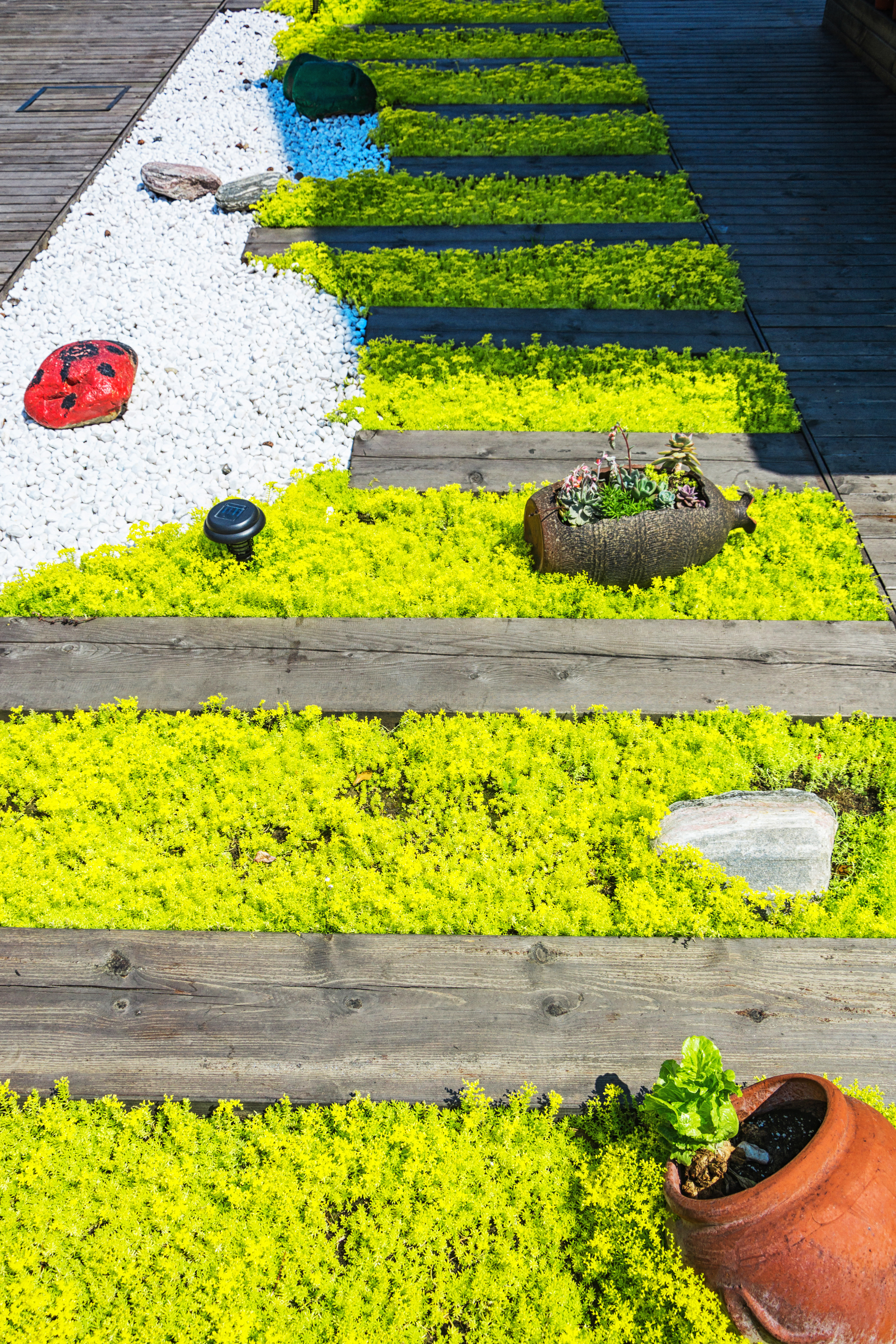 gardening grass